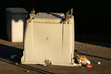 a couple of birds sitting on top of a trash can