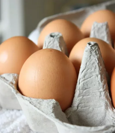 brown egg on white paper towel